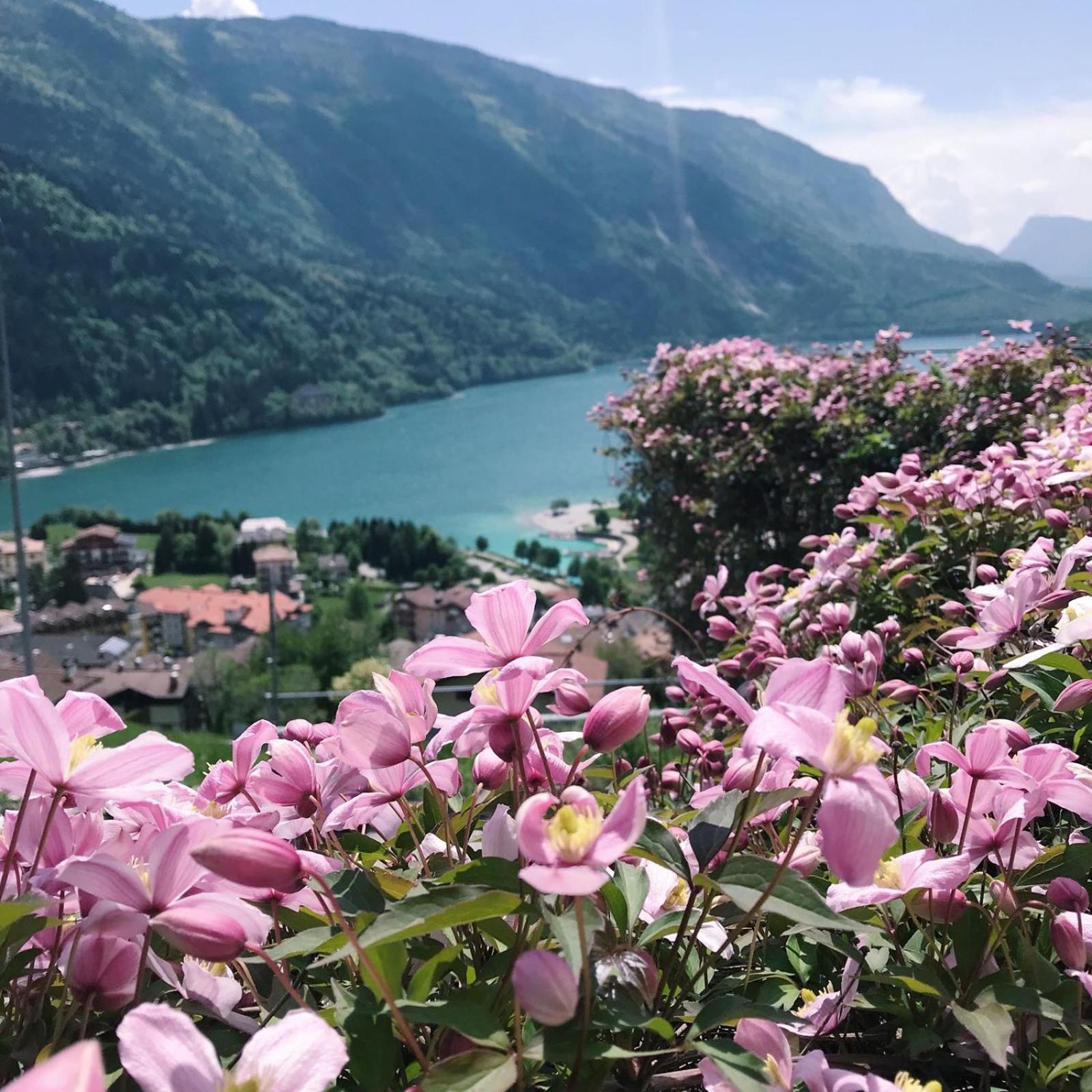 Villa Gardenia Molveno Apartment Molveno