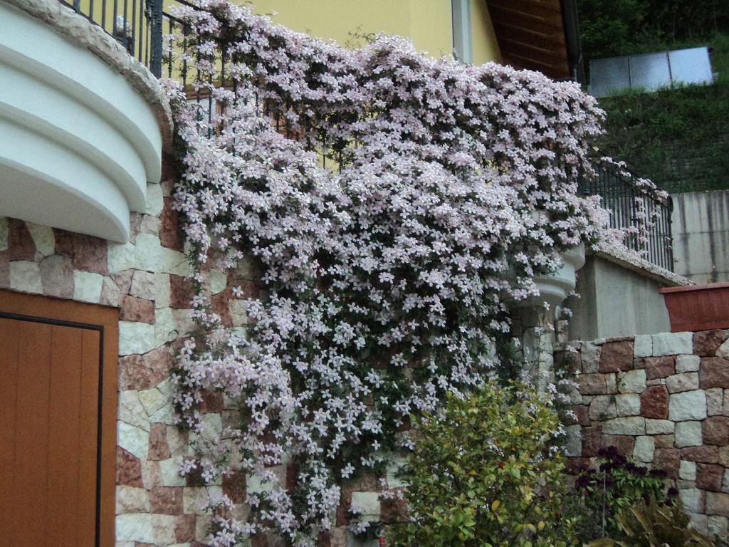 Villa Gardenia Molveno Apartment